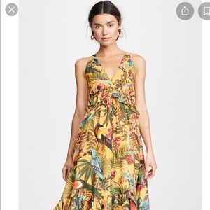 Farm Rio Into the Wild dress. Large. NWT